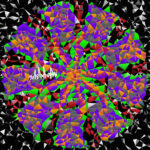 🎧 PX7を買った、ワーキングプアの耳が世界とつながる瞬間